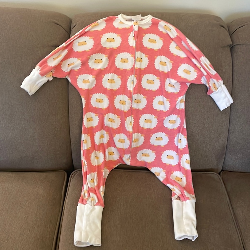 Flying Squrriel Sleeping Bag 12/24 months